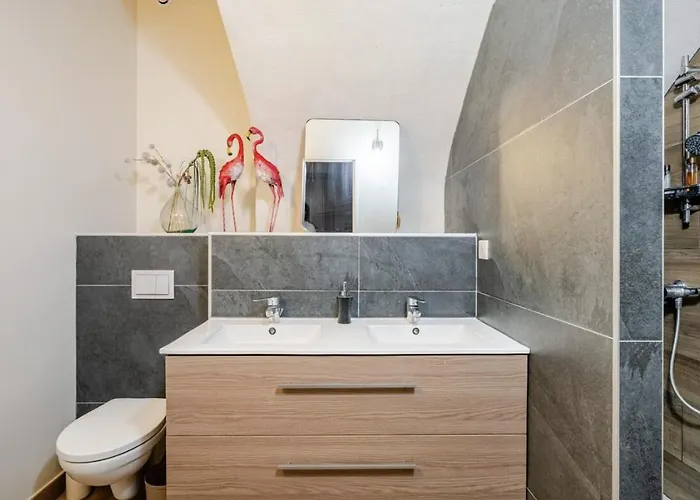 Spacieux Avec Grande Terrasse Coeur De Appartement Valence (Drome)